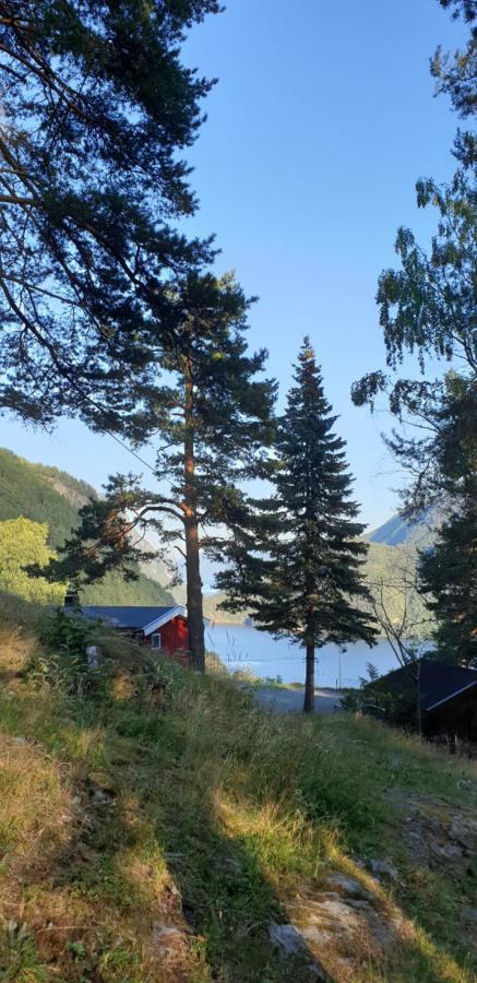 Studio 5 Dalen Exteriör bild